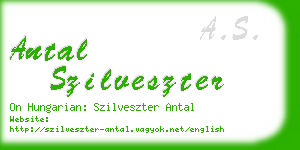 antal szilveszter business card